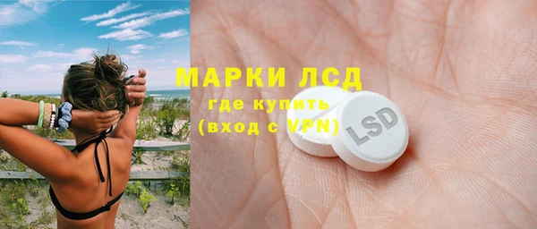 шишки Арсеньев