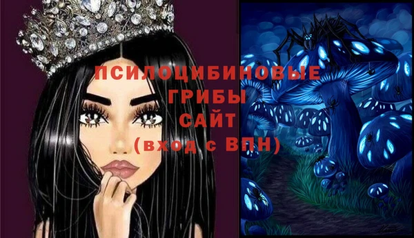 шишки Арсеньев