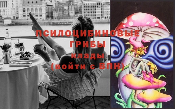 шишки Арсеньев