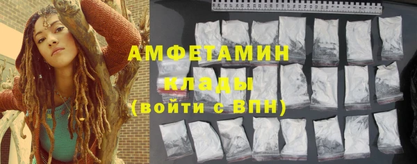 шишки Арсеньев