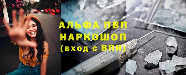 шишки Арсеньев