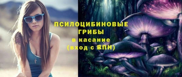 прущий лед Аркадак