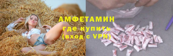 шишки Арсеньев