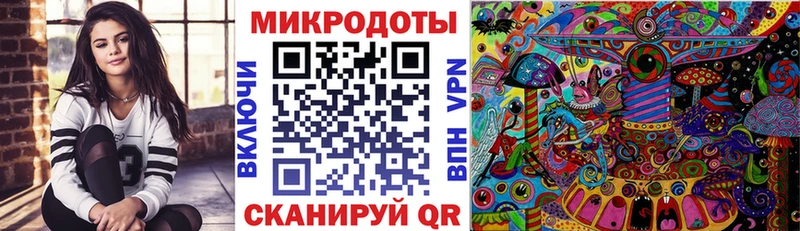 Галлюциногенные грибы Psilocybe Усинск